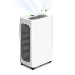 Jopassy Luftentfeuchter 12/20L pro 24h mit Timer LED Display und Wäschetrocknung für Keller und Wohnräume