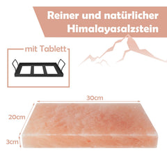 Jopassy Salzplatte zum Grillen 20x30 cm mit Eisenplatte für BBQ