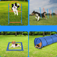 Jopassy Hunde Agility Set mit Tunnel Hürde Slalomstangen und Tragetasche