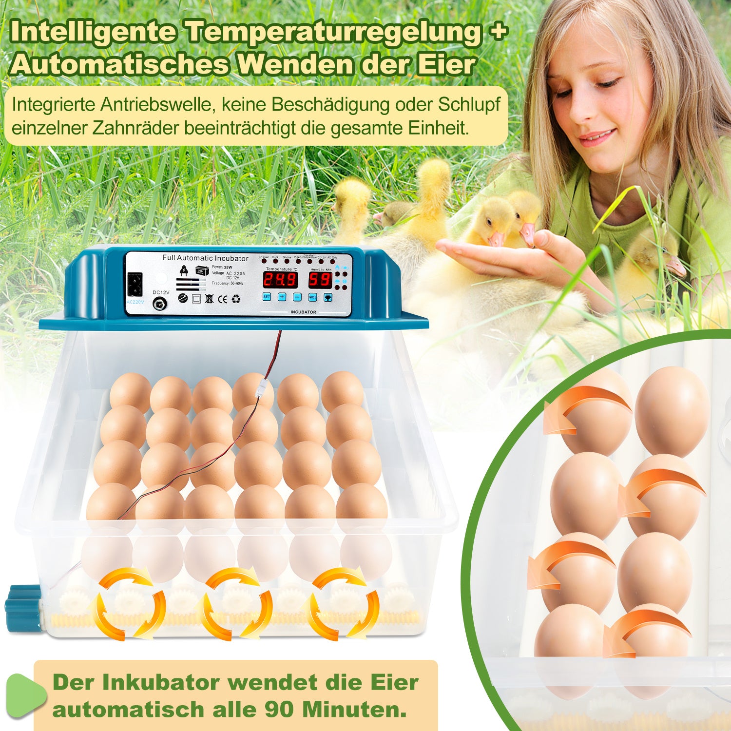 Jopassy Brutautomat 36 Eier vollautomatisch mit LED Eierbeleuchtung
