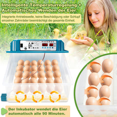 Jopassy Brutautomat 36 Eier vollautomatisch mit LED Eierbeleuchtung