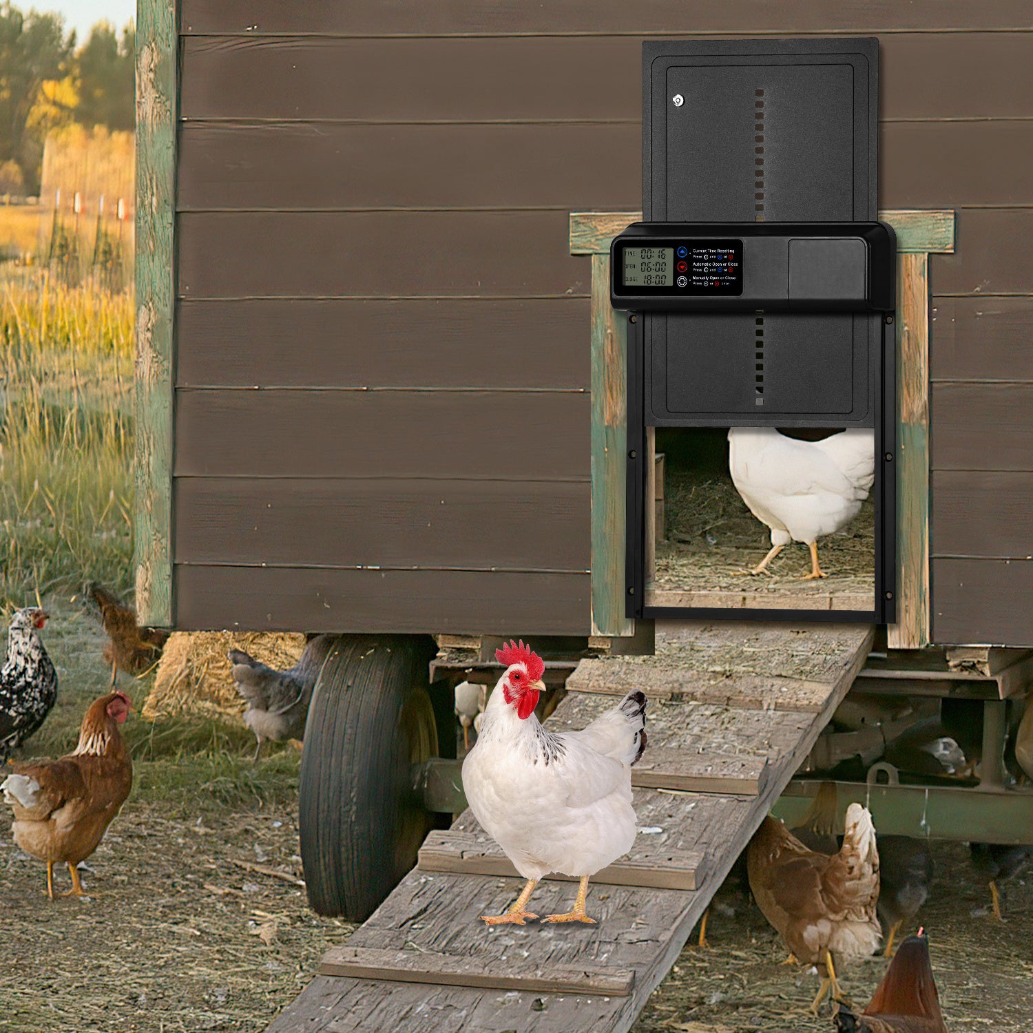 Jopassy Automatische Hühnerklappe mit Timer LCD Display