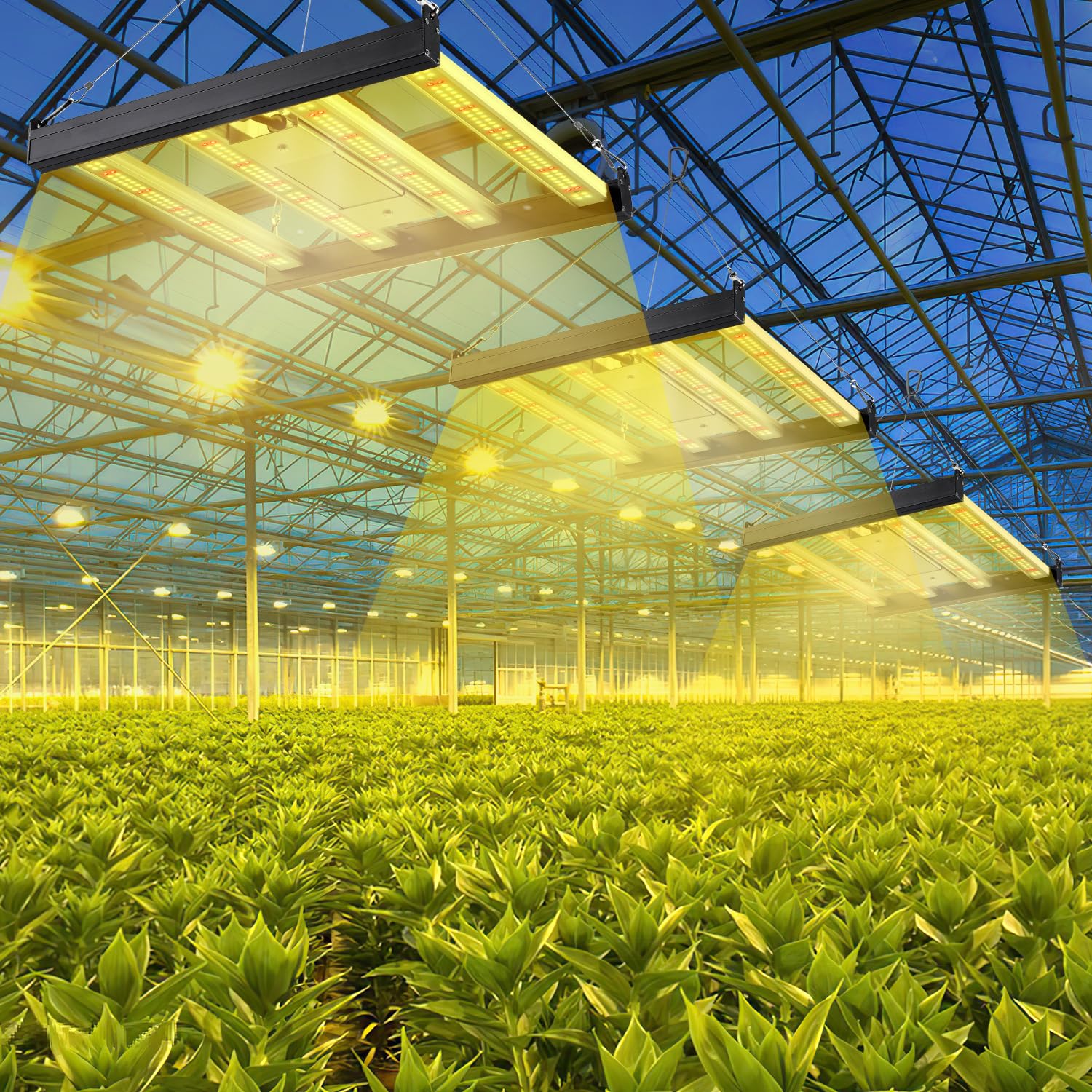 Jopassy LED Pflanzenlampe 150W Vollspektrum dimmbar für Growzelt und Pflanzen