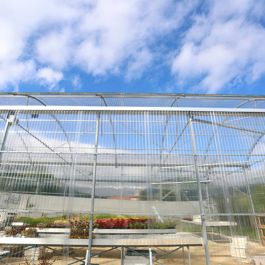 Jopassy FRP Wellplatten transparent für Dach und Gartenhaus
