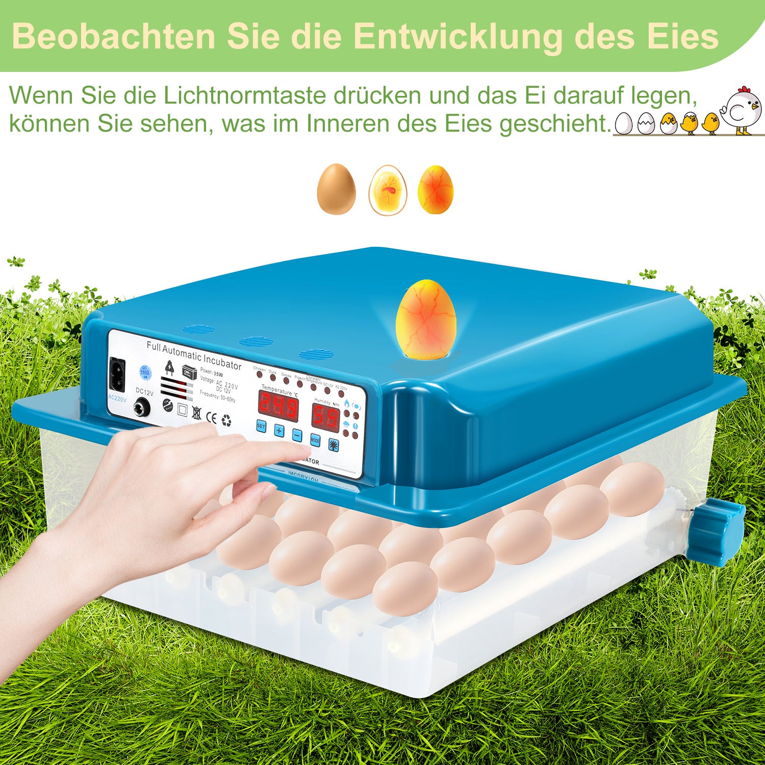 Jopassy Brutautomat 36 Eier vollautomatisch mit LED Eierbeleuchtung