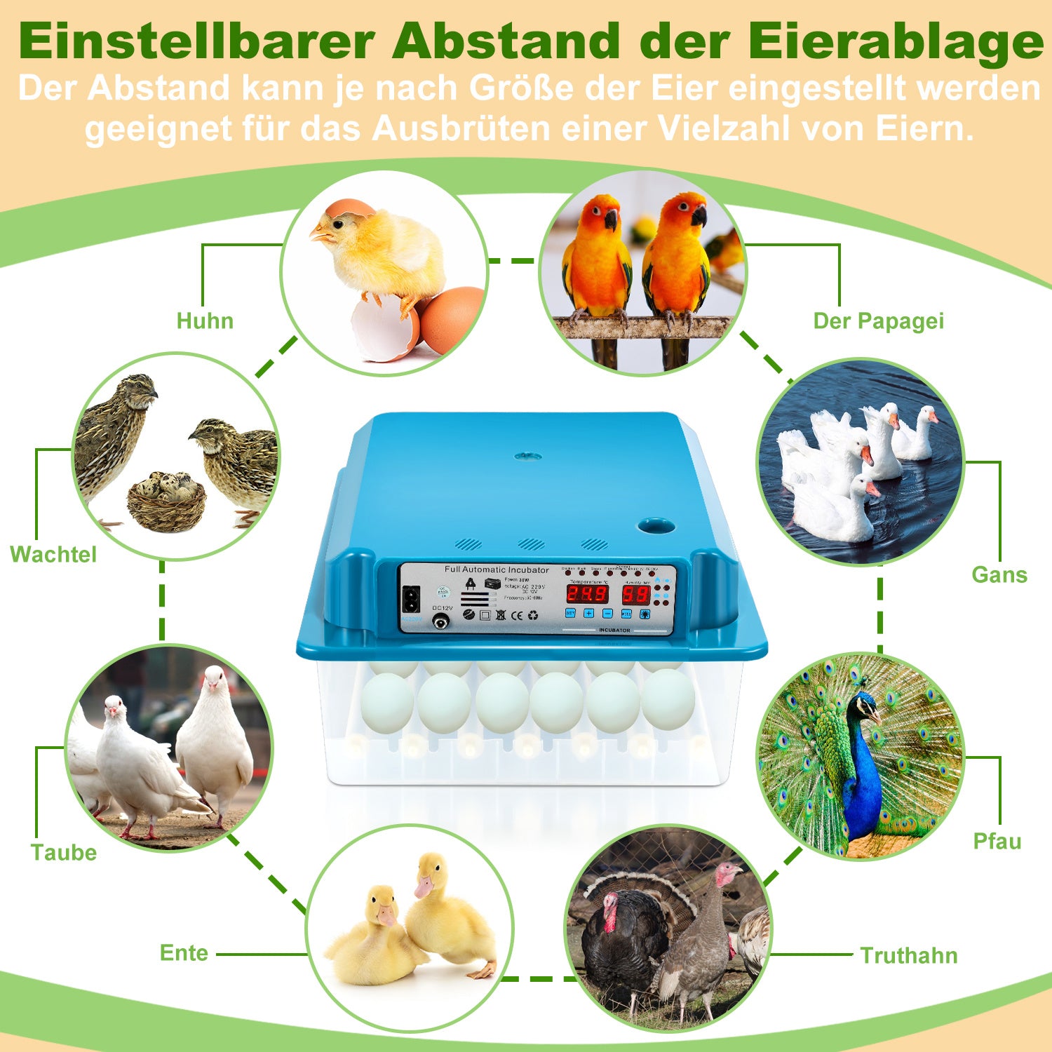 Jopassy Brutautomat 36 Eier vollautomatisch mit LED Eierbeleuchtung