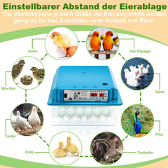 Jopassy Brutautomat 36 Eier vollautomatisch mit LED Eierbeleuchtung