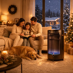 Jopassy Gasheizer 4,2 kW mit 2 Heizstufen Edelstahlbrenner und Rollen