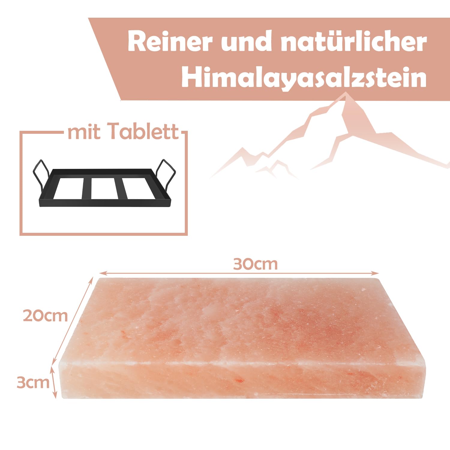 Jopassy Salzplatte zum Grillen 20x30 cm mit Eisenplatte für BBQ