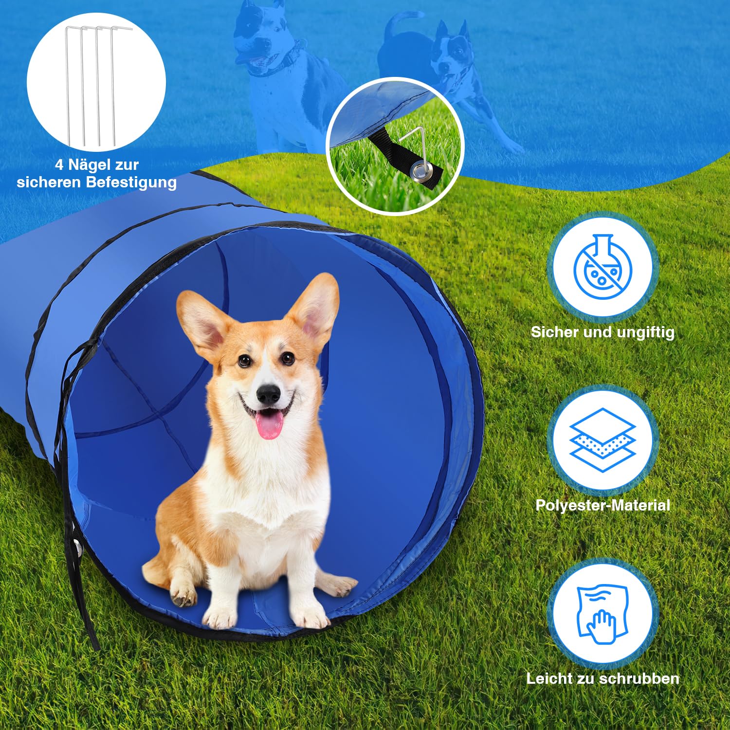 Jopassy Hunde Agility Set mit Tunnel Hürde Slalomstangen und Tragetasche