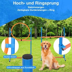 Jopassy Hunde Agility Set mit Tunnel Hürde Slalomstangen und Tragetasche