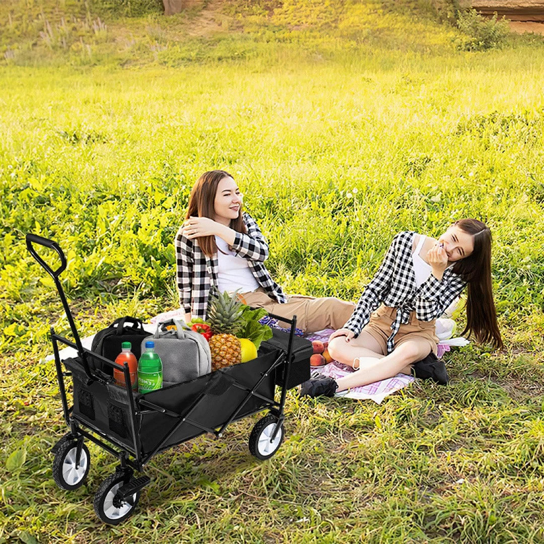 Jopassy Bollerwagen faltbar mit Dach 77 x 55,8 x 22 cm 80 kg für Camping und Garten